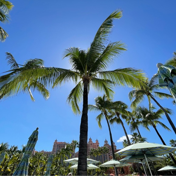 Meet your Posher, Christopher - Picture 1 of 1